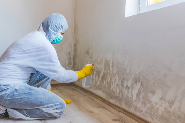 Licensed Commercial Mold Remediation service in Lake Oswego, OR - WQB Mold Removal