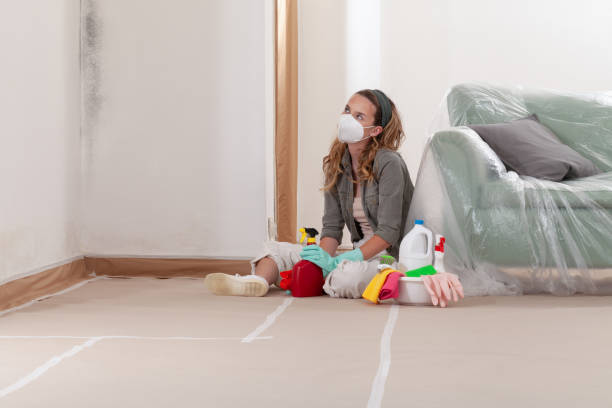 Reliable Commercial Mold Remediation contractor in Lake Oswego, OR by WQB Mold Removal